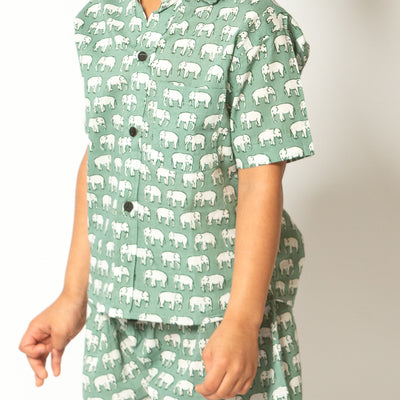 Liam - Sage Green Elephant Pattern Top and Shorts Set