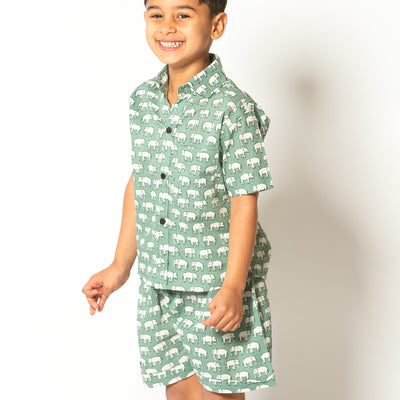 Liam - Sage Green Elephant Pattern Top and Shorts Set